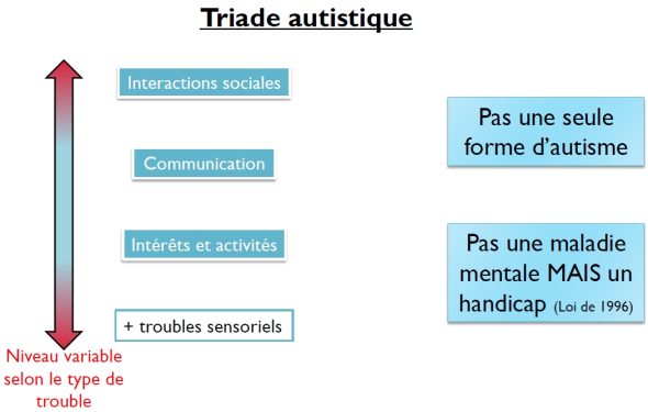 triade-autistique